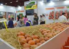 Cora Seeds offers, among others, onion varieties for the Turkish market